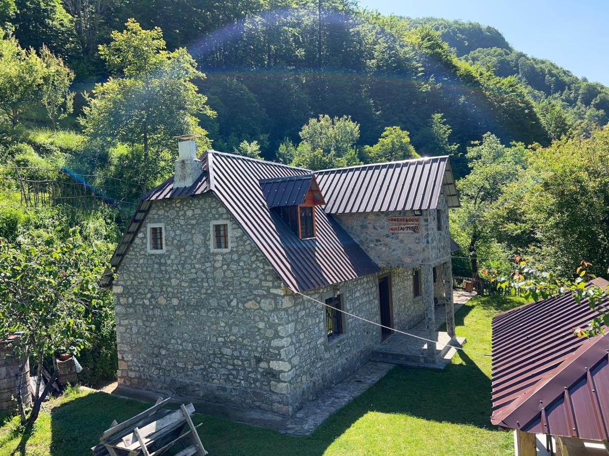 Guest House Gjelaj Theth Dış mekan fotoğraf